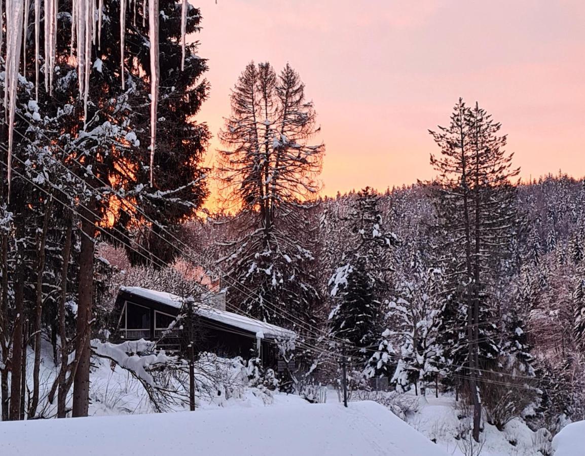 Waldblick Ferienwohnungen Bonndorf im Schwarzwald Exteriör bild