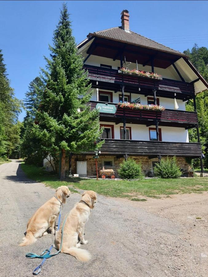 Waldblick Ferienwohnungen Bonndorf im Schwarzwald Exteriör bild